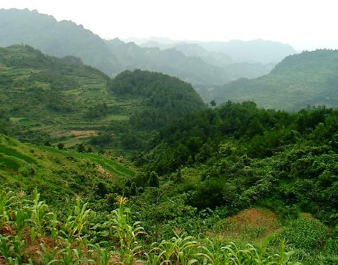 Longshan hills